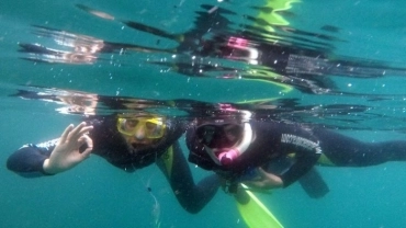 PASSEIO DE BARCO COM SNORKEL: PONTA DA SEPULTURA OU PASSARELA DO RIBEIRO